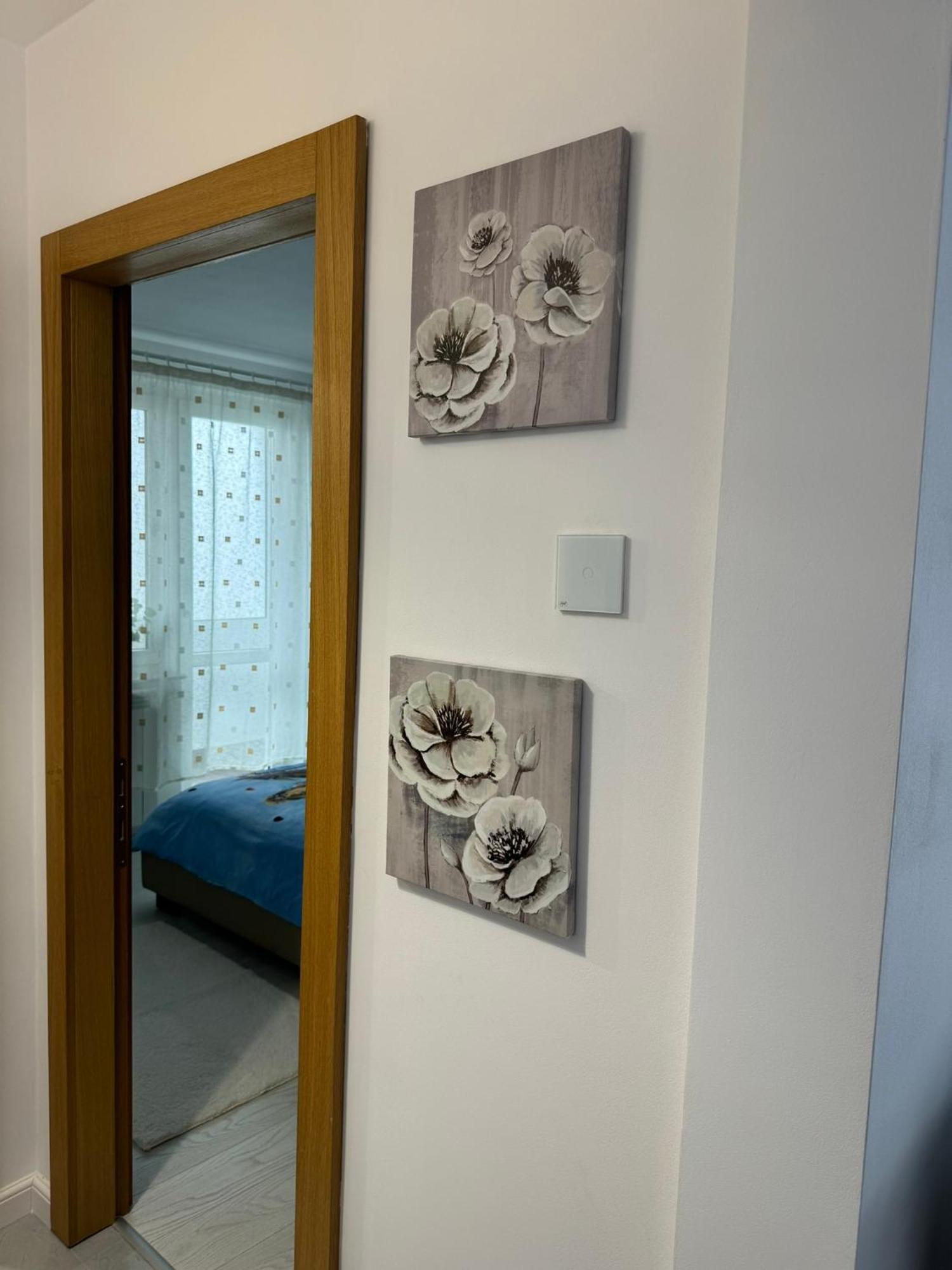 Apartament Central Râmnicu Vâlcea Dış mekan fotoğraf